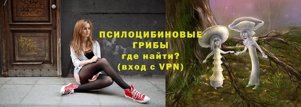 mdpv Магадан