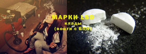 спиды Магас