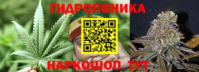 соль ск Пушкино