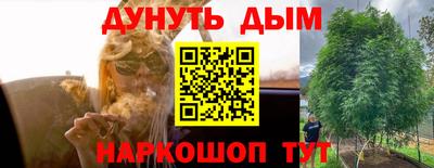 ПСИЛОЦИБИНОВЫЕ ГРИБЫ Пугачёв