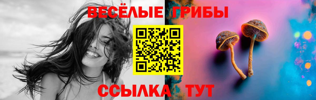 Галлюциногенные грибы Psilocybine cubensis Нягань